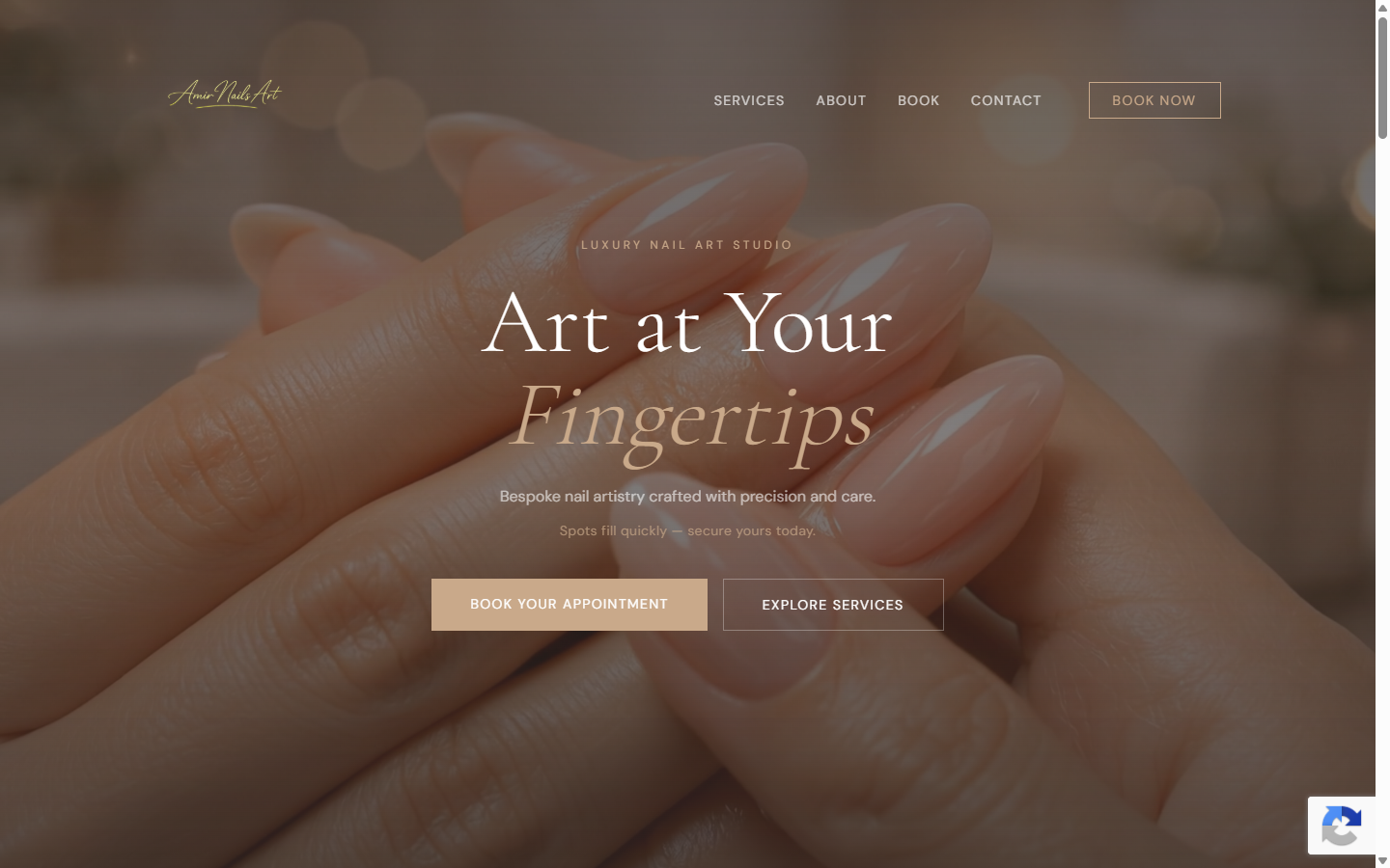 Amir Nails Art — live homepage