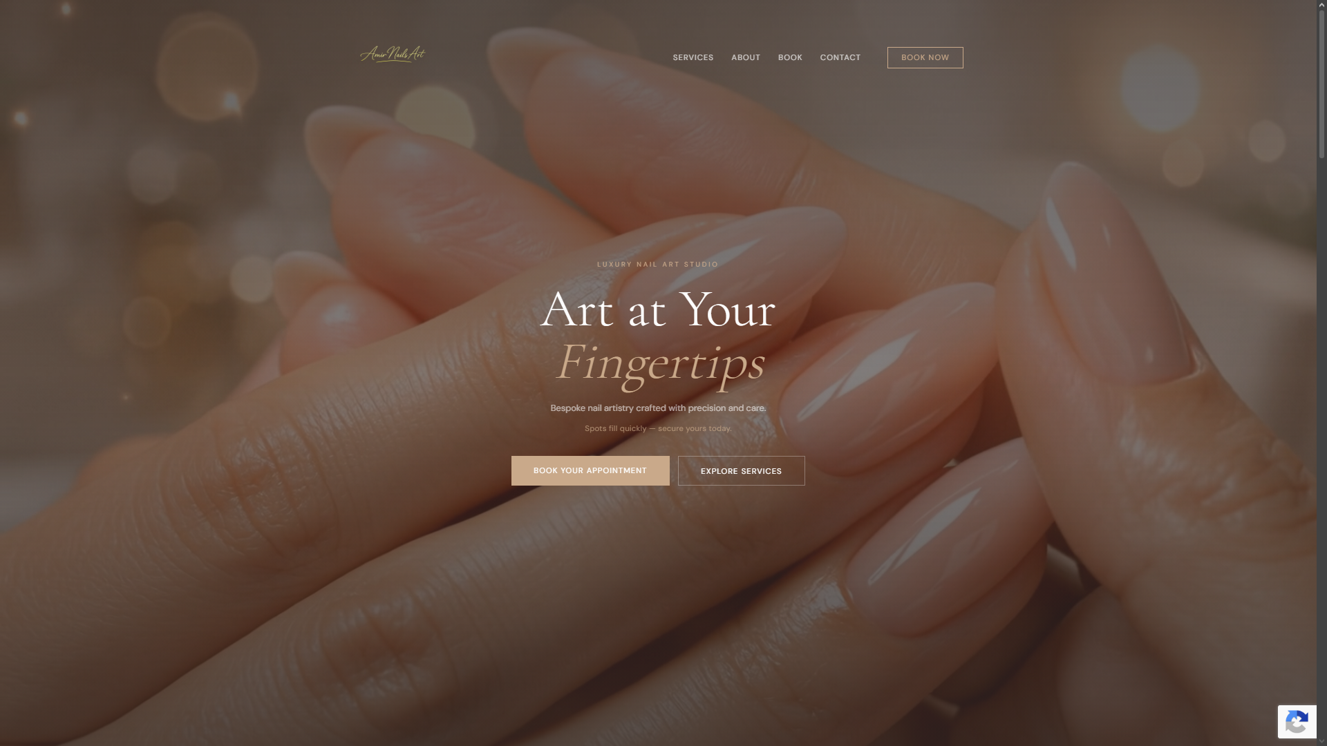 Amir Nails Art — Hero