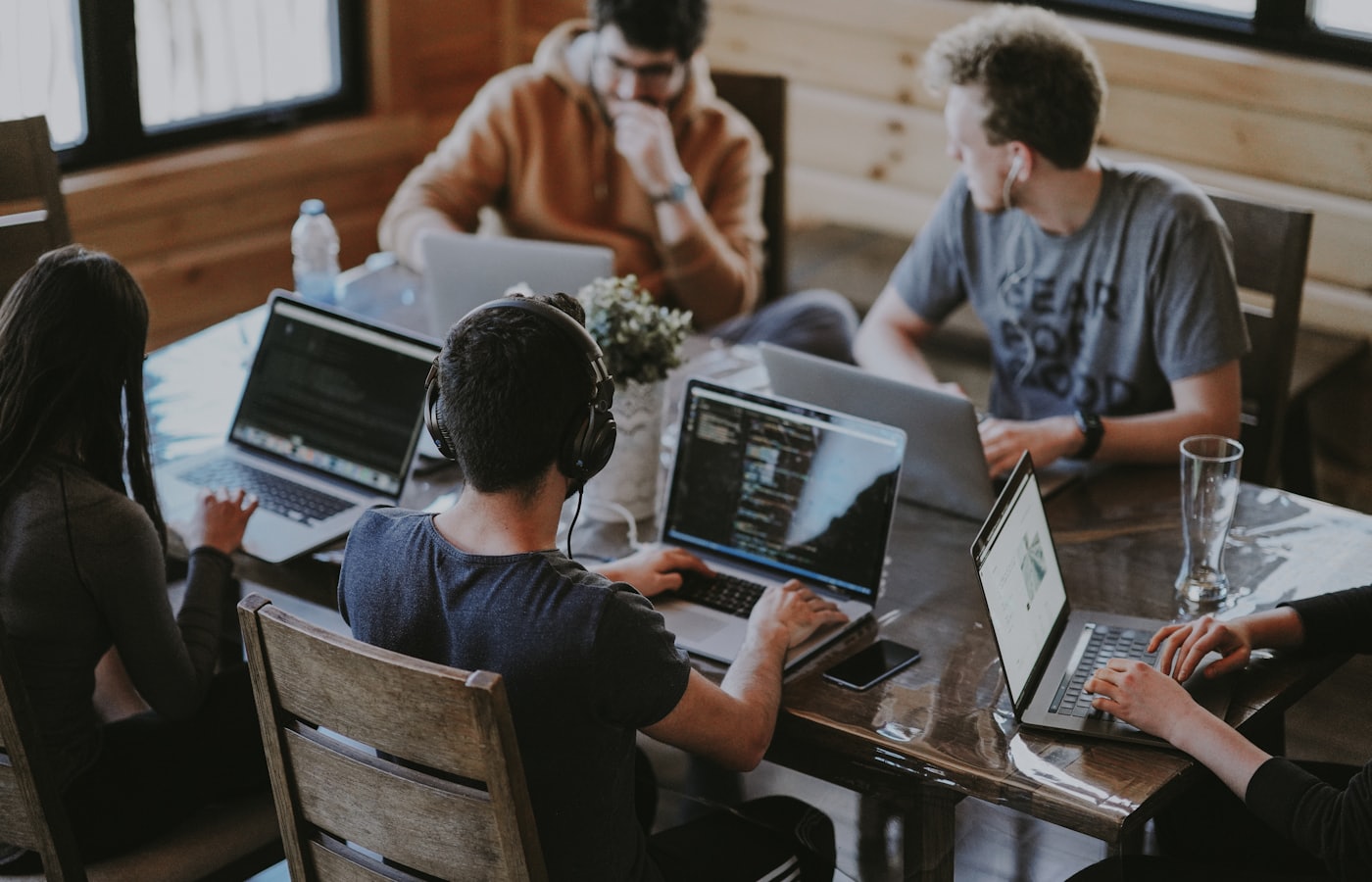 Professional development team providing human oversight on software